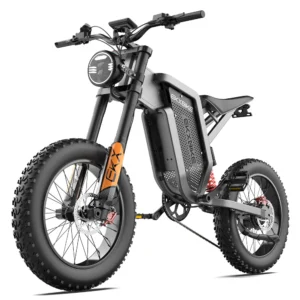 EXBIKE X21
